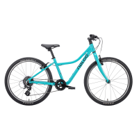 NALOO Chameleon 24", Mk2.1, 8-Speed, Turquoise