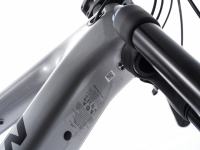 Amflow PL Carbon G2 Gr. L