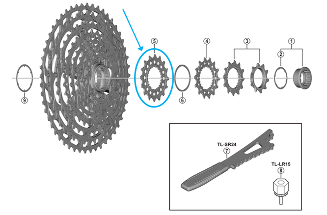 Shimano Zahnkranz CS-M9100-12 16 Zähne