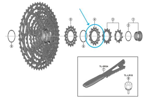 Shimano Zahnkranz CS-M9100-12 14 Zähne