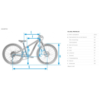 Hill Bill Pro 20 Suspension Mk2 9-Speed Petrol